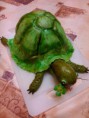 /album/dorty1/a13051658-1287195341310023-1465033457376933022-n-jpg/